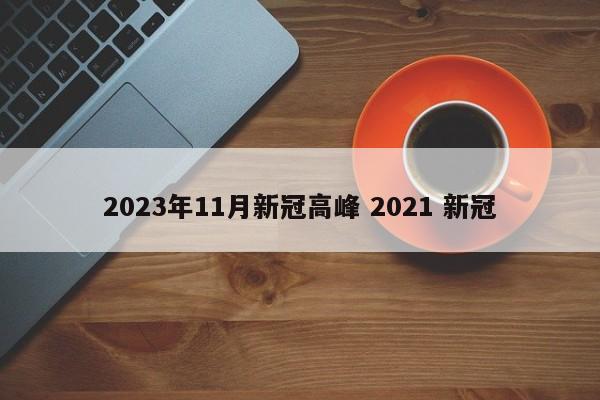 2023年11月新冠高峰 2021 新冠